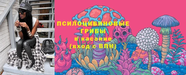 apvp Верея