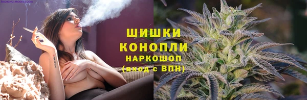 apvp Верея