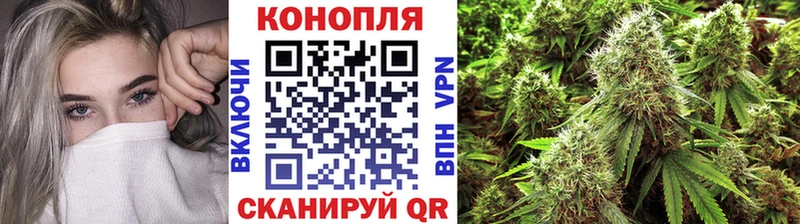 Шишки марихуана сатива  Кочубеевское 
